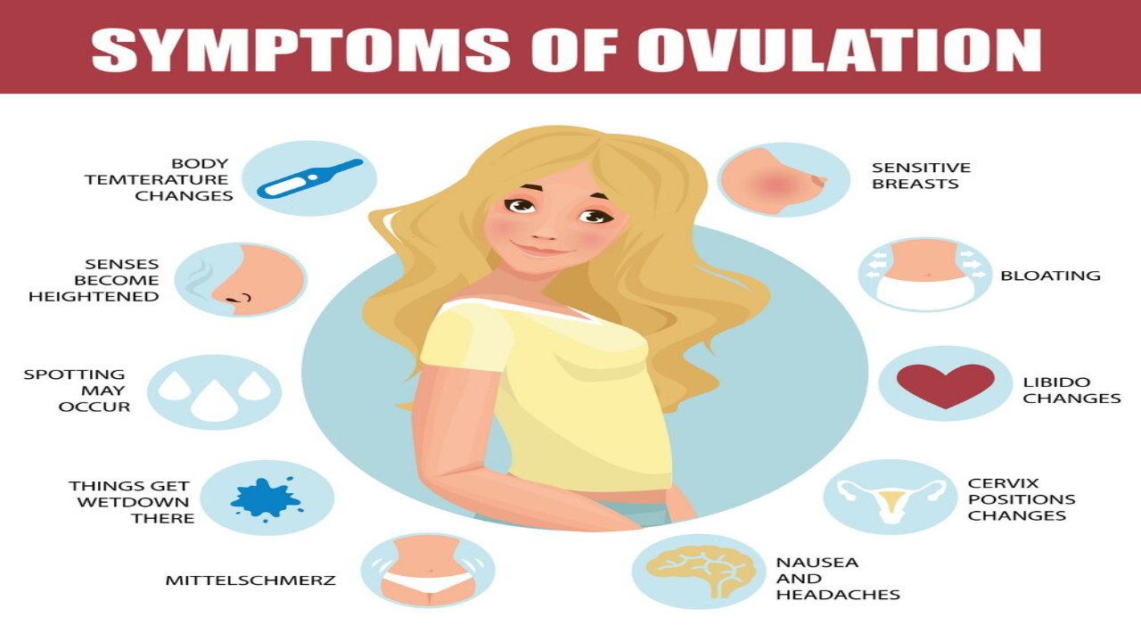 5 Common Ovulation Symptoms That One Should Know