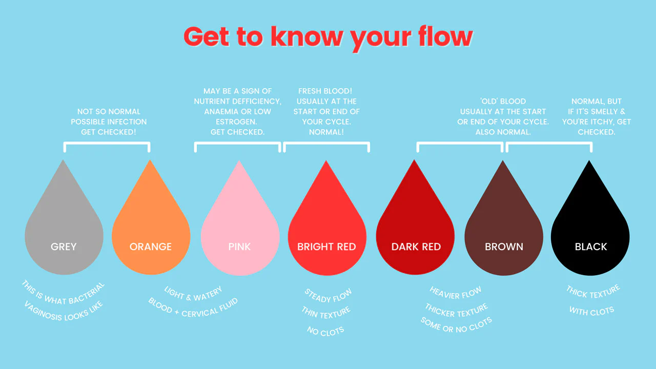 Everything You Need To Know About Period Blood