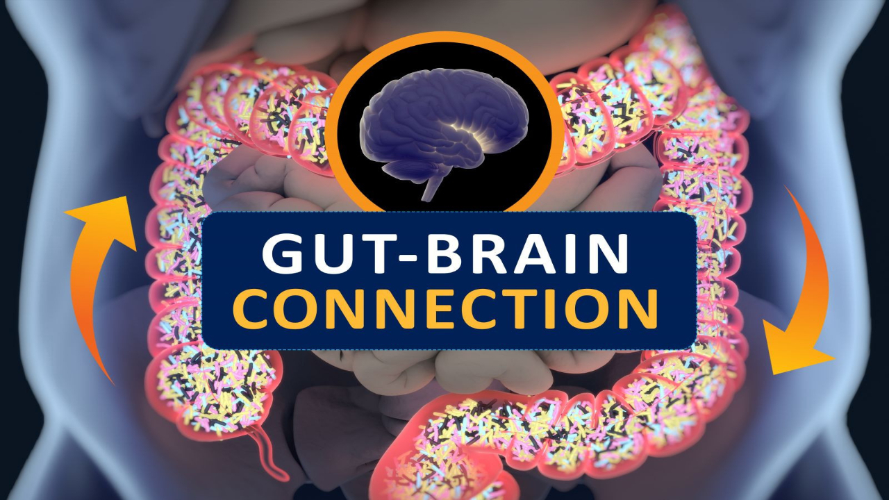 The Gut-Brain Connection: How Your Gut Health Affects Your Mental Health