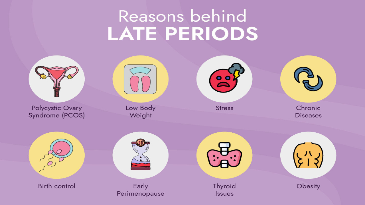 Why Is My Period Late? Know The 5 Common Reasons