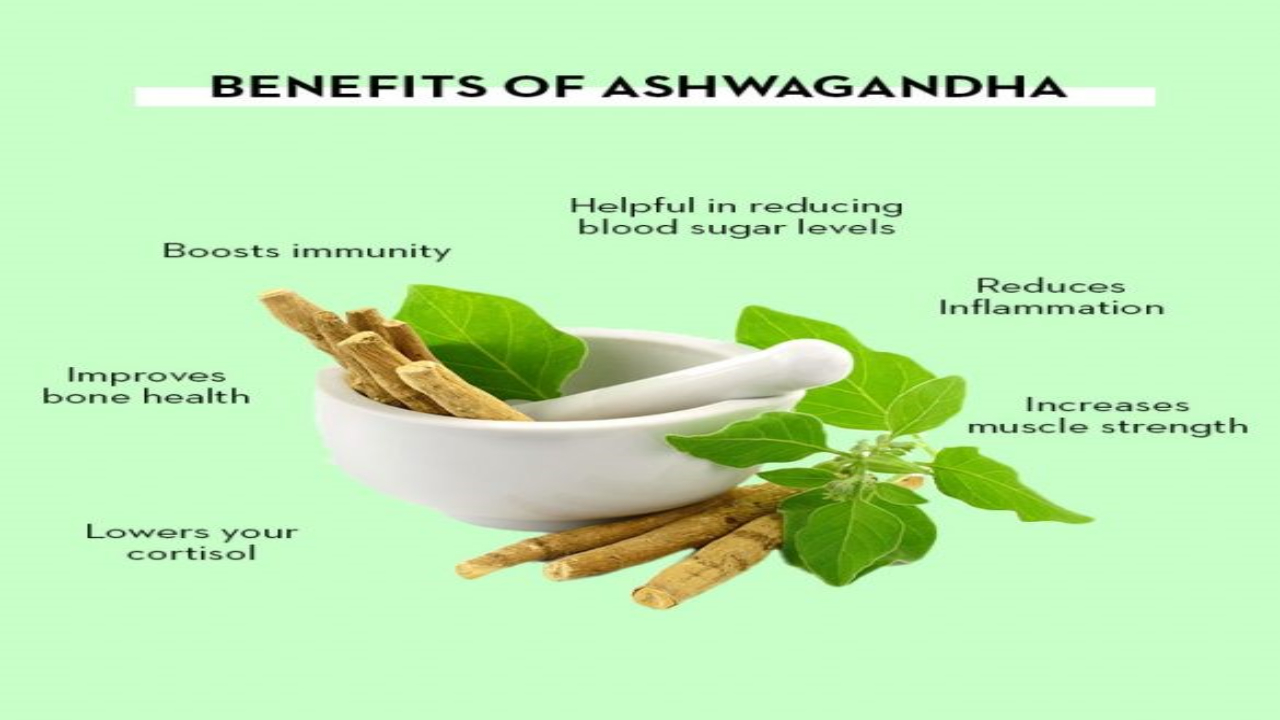 6 Major Key Factors Of Ashwagandha Benefits