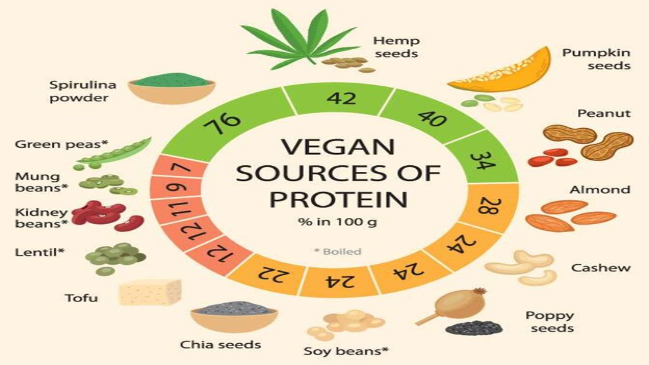 7 High Protein Vegetarian Foods To Eat