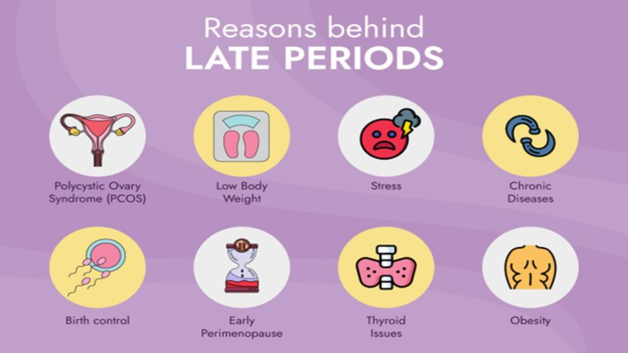 Why Is My Period Late? Know The Common Reasons