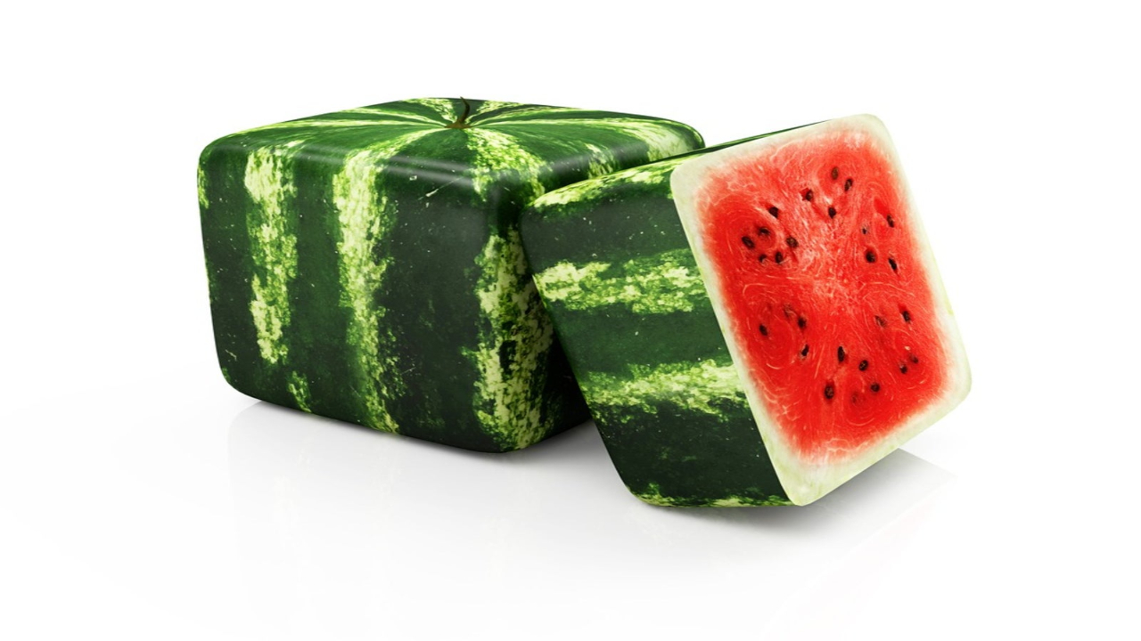 sliced square watermelon