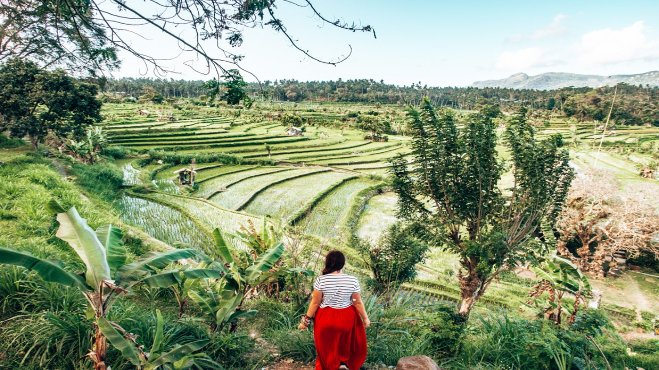Top 6 Tourist Attractions & Places to Visit in Bali